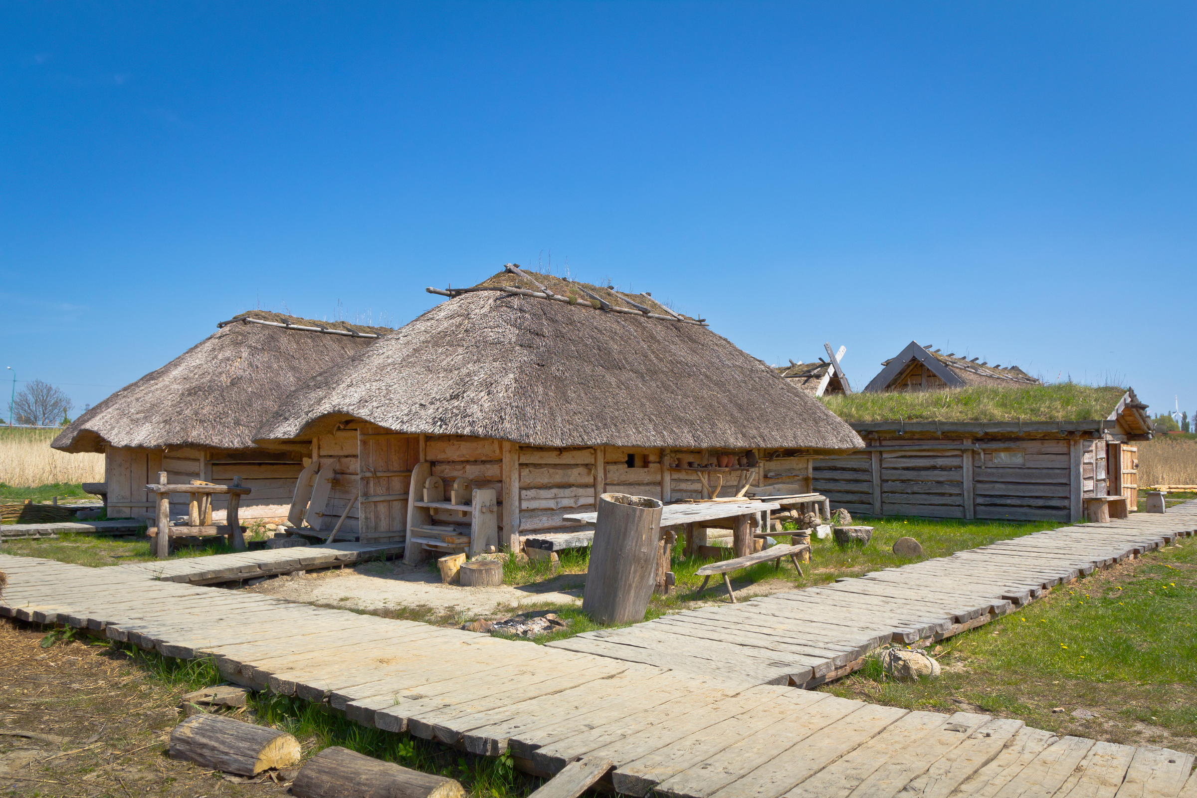 wolin 04.webp
